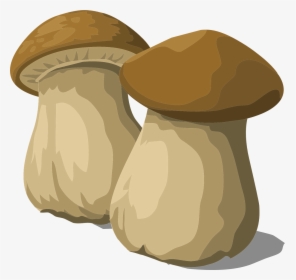 Funghi Png Transparent Png Transparent Png Image Pngitem