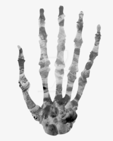 Finger Printed Skeleton By - Skeleton Hands In Head, HD Png Download, Transparent PNG