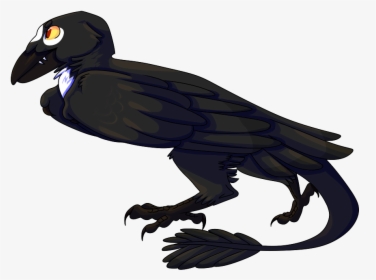 Blackbird Png Free Download - Turkey Vulture, Transparent Png, Transparent PNG