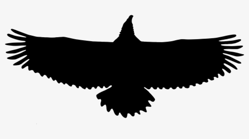 Eagle Silhouette Png, Transparent Png, Transparent PNG