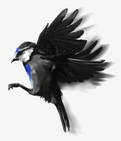Swallow, HD Png Download, Transparent PNG