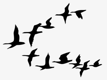Birds Silhouette Png -silhouette Birds Black Flying - Flock Of Birds Clipart, Transparent Png, Transparent PNG