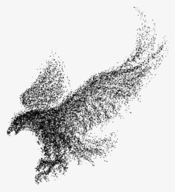 Eagle Bald Wings Particles Vector Bird Clipart - Black Bird Flying Drawing, HD Png Download, Transparent PNG