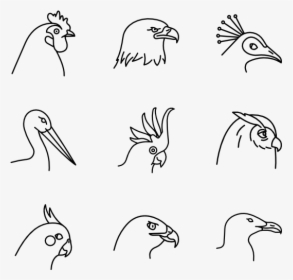 Birds Species - Sketch, HD Png Download, Transparent PNG