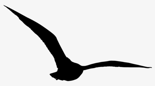 Images In Collection Page - Transparent Bird Flying Silhouette Png, Png Download, Transparent PNG