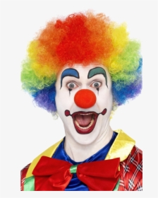 Transparent Clown Wig Png - Clown Coloured, Png Download, Transparent PNG