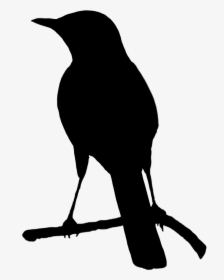 White Birds Png - Bird Black And White Png, Transparent Png, Transparent PNG