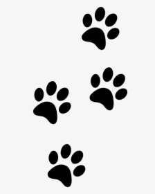 Tiger Paws Clip Art, HD Png Download, Transparent PNG