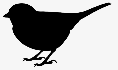 Silhouette Small Bird Png - Silhouette Bird Clipart Black And White, Transparent Png, Transparent PNG