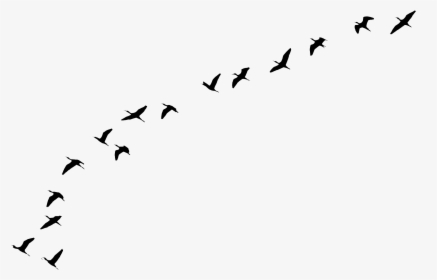Flying Birds Tattoo - Png Clipart Flying Birds In Transparent, Png Download, Transparent PNG