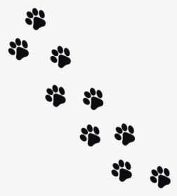 Footprint, Animal, Cat - Transparent Background Paw Prints, HD Png Download, Transparent PNG
