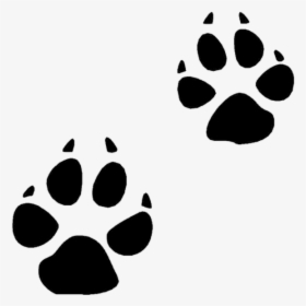 Coyote Paw Prints - Animal Track Clipart, HD Png Download, Transparent PNG