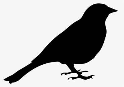 Bird Silhouette Drawing Clip Art - Pigeon Silhouette Clipart, HD Png Download, Transparent PNG