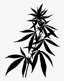 Transparent Weed Joint Clipart - Marijuana Plant, HD Png Download, Transparent PNG