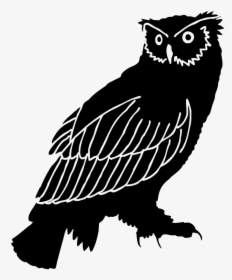 Owl Silhouette Bird Black And White Clip Art - Great Horned Owl Silhouette, HD Png Download, Transparent PNG