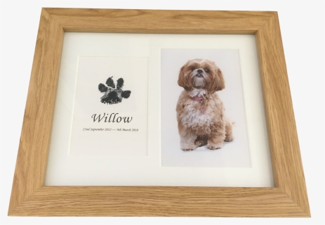 Dog Paw Print In Wood Frame With Photograph Using Inkless - Paw, HD Png Download, Transparent PNG