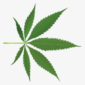 Transparent Marijuana Leaf Silhouette Png - Cannabis Leaf Png, Png Download, Transparent PNG