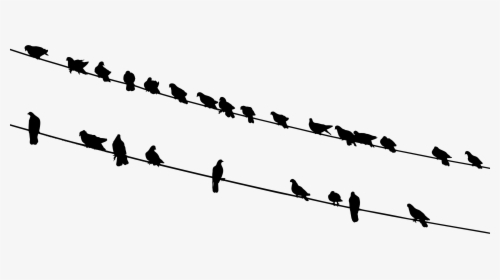 Graphic Library Library Bird Silhouette Flock Black - Silhouette Birds On Wire, HD Png Download, Transparent PNG