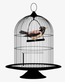 Cage Bird Png Image - Bird In A Cage Png, Transparent Png, Transparent PNG