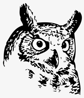Owl Drawings Of Owl S Face - Hughes Owls, HD Png Download, Transparent PNG