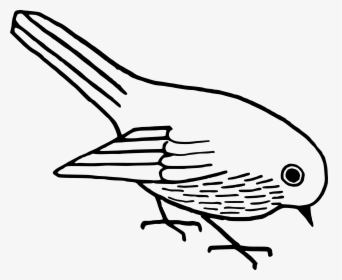 Bird Clipart Black And White Png - Bird And White Clipart, Transparent Png, Transparent PNG