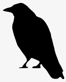 Crows Clip Art, HD Png Download, Transparent PNG