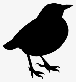 Silhouette Black Of Small Standing Bird - Bird Silhouette No Background, HD Png Download, Transparent PNG