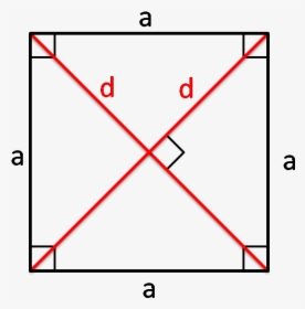 Diagonals Of A Square, HD Png Download, Transparent PNG