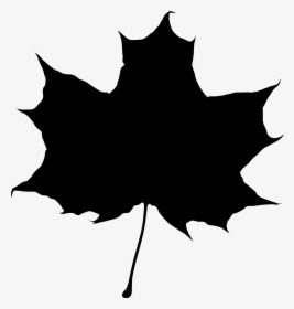 Maple Leaf Silhouette Transparent Png - Maple Leaf Silhouette Png, Png Download, Transparent PNG