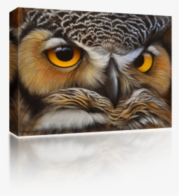 Transparent Owl Face Png - Great Horned Owl, Png Download, Transparent PNG