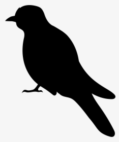 Blackbird, HD Png Download, Transparent PNG