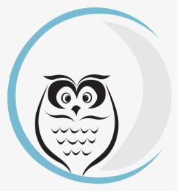 Night Owl Photography Logo, HD Png Download, Transparent PNG