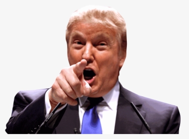 Download Donald Trump Picture Png Image Pngimg - Donald Trump Pointing Transparent, Png Download, Transparent PNG