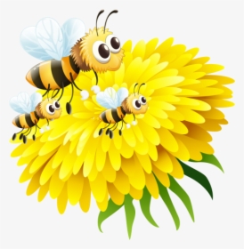 Honey Bee On Flower - Bee And Flower Png, Transparent Png, Transparent PNG
