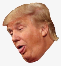 Donald Trump Clipart Head - Stupid Trump, HD Png Download, Transparent PNG