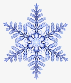 Snowflakes Png Background Image - Six Fold Symmetry Snowflake, Transparent Png, Transparent PNG