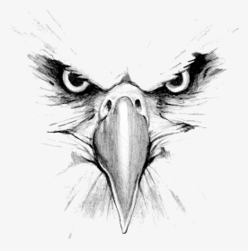 Eagle Face Tattoo Design, HD Png Download, Transparent PNG