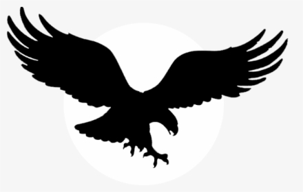 Clan Of The American Eagle Png Logo - American Eagle Logo, Transparent Png, Transparent PNG