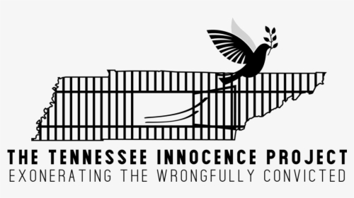 The Tennessee Innocence Project, Located In Nashville, - Silhouette, HD Png Download, Transparent PNG
