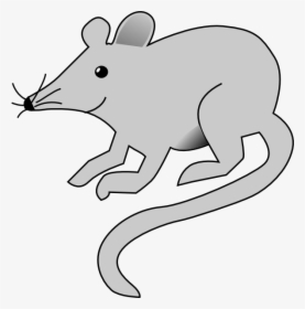 Clipart Image Of Rat, HD Png Download, Transparent PNG