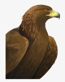 Golden Eagle Png - Golden Eagle Png Png, Transparent Png, Transparent PNG