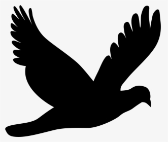 Silhouette,monochrome Photography,bird - Dove Flying Silhouette Png, Transparent Png, Transparent PNG