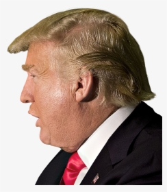 Donald Trump Head Will See You Un Court Png Clipart - Donald Trump Side Face Png, Transparent Png, Transparent PNG