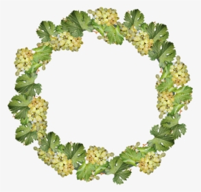 Grapes, Wreath, Border, Frame, Decoration, Cut Out - Viburnum, HD Png Download, Transparent PNG