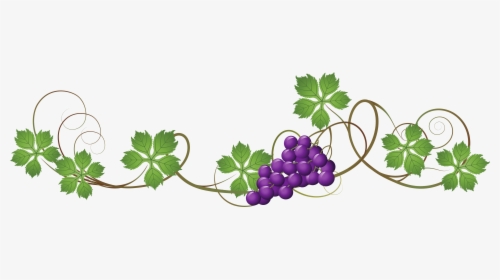 Clip Art Picture Free Download - Grape Leaf Vector Free, HD Png Download, Transparent PNG