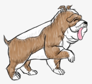 Duke The English Bulldog - Illustration, HD Png Download, Transparent PNG