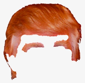 Transparent Trump Hair Png, Png Download, Transparent PNG