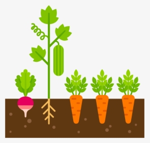 Caring Clipart Care Plant - Clip Art Vegetable Plant, HD Png Download, Transparent PNG