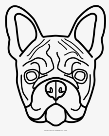Coloring Pages Free Download - French Bulldog Coloring Pages, HD Png Download, Transparent PNG