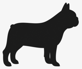 French Bulldog Black Silhouette, HD Png Download, Transparent PNG